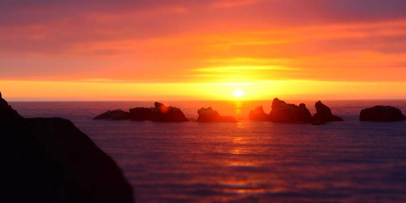 一道医：数字化时代慢性病管理的综合干预新范式