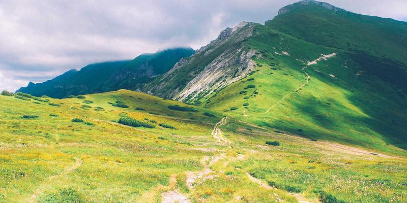 线上医生融合波西米亚智慧:一道医如何开启儿童体质调理新纪元